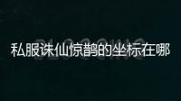 私服诛仙惊鹊的坐标在哪